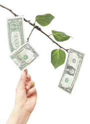 money-tree