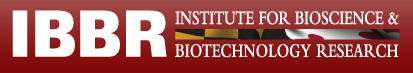 IBBR logo