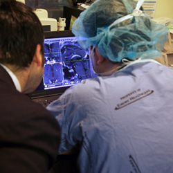 brain-surgery-mri-MIT