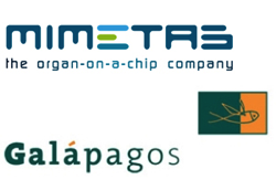 mimetas-galapagos-logo