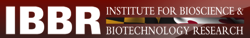 umd-ibbr-logo