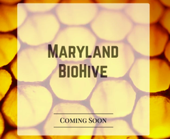 md-biohive-logo