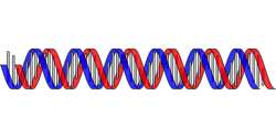 dna-genetics-pixa