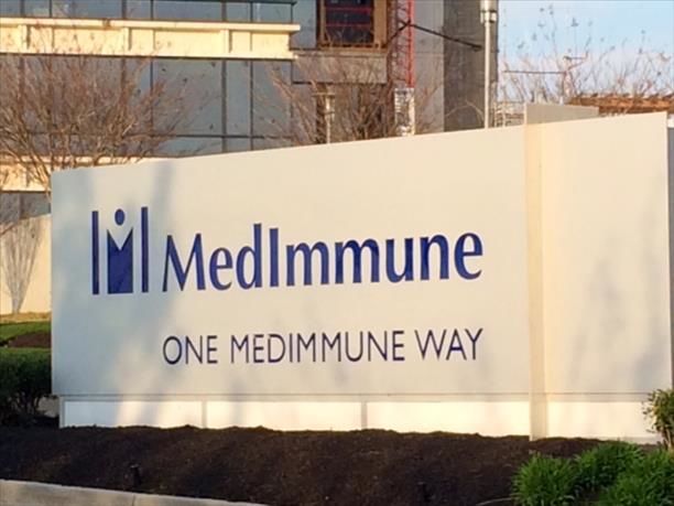 medimmune2 1