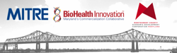 innovation-bridge-logo