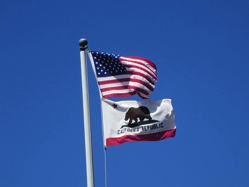 california-usa-flags-pixa