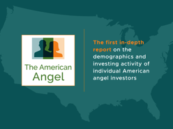 the-american-angel-pdf-image.png