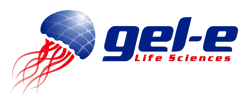 gel-e-logo