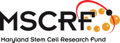 mscrf-md-stem-cell-logo