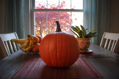 Pumpkin Thanksgiving Meal Free photo on Pixabay