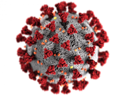 This illustration, created at the Centers for Disease Control and Prevention (CDC), reveals ultrastructural morphology exhibited by coronaviruses. A novel coronavirus, named Severe Acute Respiratory Syndrome coronavirus 2 (SARS-CoV-2), was identified as the cause of an outbreak of respiratory illness first detected in Wuhan, China in 2019. The illness caused by this virus has been named coronavirus disease 2019 (COVID-19). (CDC/Alissa Eckert, MS)