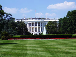 white house