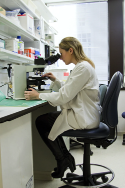 Technician looking through microscope in a lab.