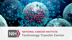 Nih tech transfer