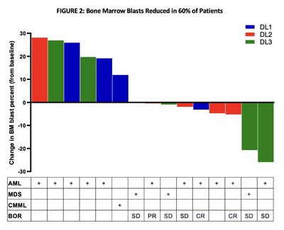 Bone Marrow Blasts Reduced