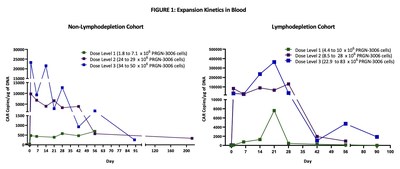 Expansion Kinetics in Blood