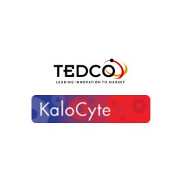 TedcoKalo