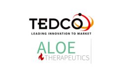 TEDCOAloe
