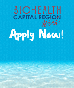 Apply Now 250 x 300 px