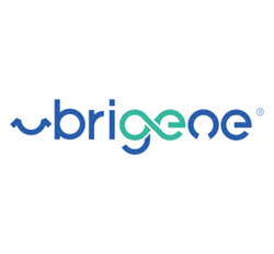 brigeoe250