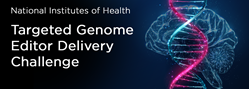 UM School of Medicine Team Wins NIH TARGETED Challenge with Brain Genome Editing Technology