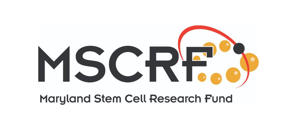 Technical.ly: Maryland’s stem cell research fund is filling the gap